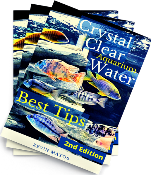 Crystal clear 2024 aquarium water